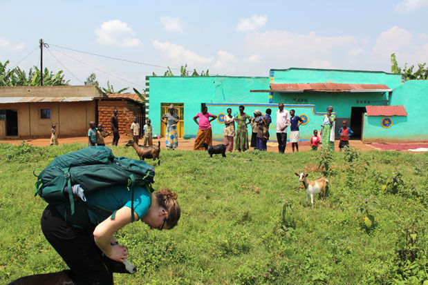 Dr. Katie goats